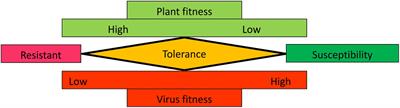 Exploring the Diversity of Mechanisms Associated With Plant Tolerance to Virus Infection